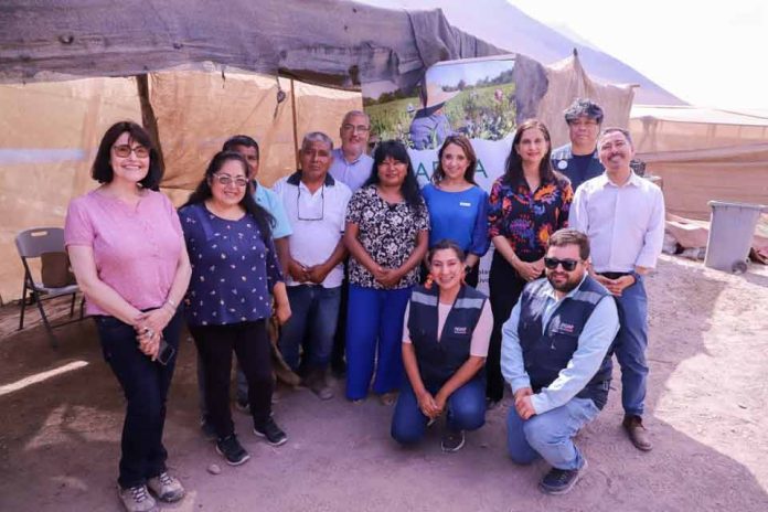 Ministra de Agricultura visita huerto demostrativo de Arica en el marco del convenio entre INDAP y AFIPA