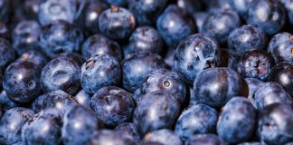 Panorama de la temporada 202526 de arándanos chilenos