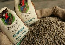 Pequeños productores impulsan récord en exportaciones de café