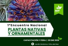 Viveros de Chile realizará su primer Encuentro Nacional de Plantas Nativas y Ornamentales en el Jardín Botánico de Viña del Mar