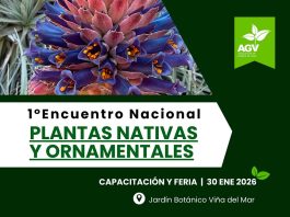 Viveros de Chile realizará su primer Encuentro Nacional de Plantas Nativas y Ornamentales en el Jardín Botánico de Viña del Mar Viveros de Chile realizará su primer Encuentro Nacional de Plantas Nativas y Ornamentales en el Jardín Botánico de Viña del Mar