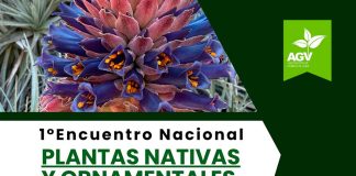 Viveros de Chile realizará su primer Encuentro Nacional de Plantas Nativas y Ornamentales en el Jardín Botánico de Viña del Mar