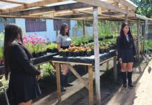 Proyectos Tecnológicos y agricultura sostenible. Liceo Agrícola El Vergel de Angol