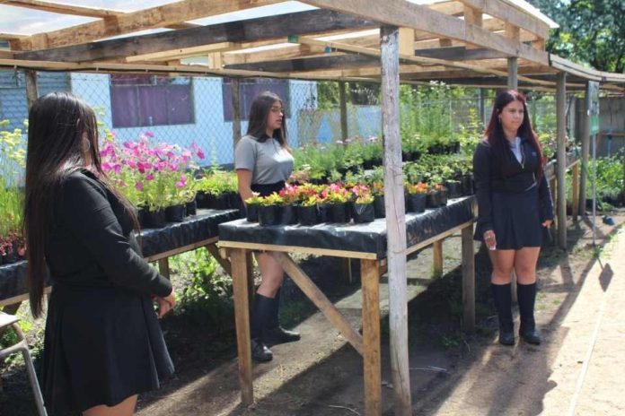 Liceo Agrícola El Vergel de Angol. Proyectos Tecnológicos y agricultura sostenible Proyectos Tecnológicos y agricultura sostenible. Liceo Agrícola El Vergel de Angol