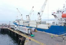 Comité de Uva de Mesa de Frutas de Chile estima contracción de 6,4% en exportaciones para temporada 2025-2026