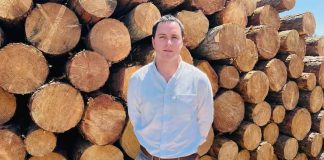 Pymes forestales emplazan a Kast por crisis del sector y conectividad en el Maule