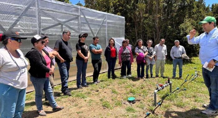 Riego tecnificado mejora la producción de más de 700 agricultores en la región de Los Lagos
