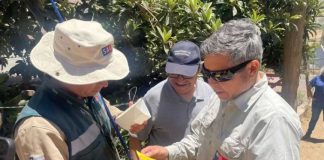 SAG finaliza dos campañas de erradicación mosca de la fruta en Monte Patria