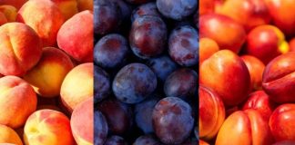 Segunda estimación Comité de Carozos de Frutas de Chile