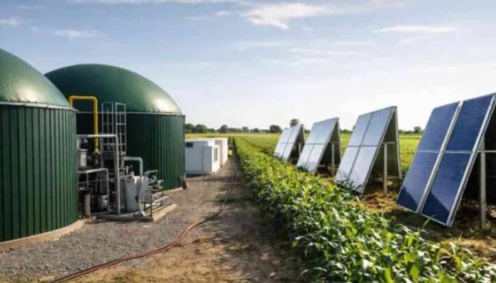 Argentina | Agrovoltaica para biometano: cómo el calor del sol puede transformar el negocio energético en el campo Argentina | Agrovoltaica para biometano: cómo el calor del sol puede transformar el negocio energético en el campo