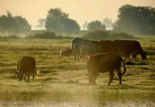 Clínica Santa María inaugura nueva sede en Los Dominicos https://portalredsalud.cl/2025/12/10/clinica-santa-maria-inaugura-nueva-sede-en-los-dominicos/ a través de @PortalRedSalu