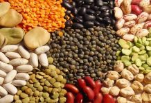 Perú | Exportaciones de semilla crecen 18% en valor