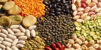 Perú | Exportaciones de semilla crecen 18% en valor