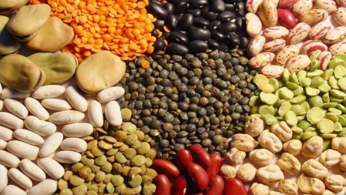 exportaciones-de-semilla-crecen-18-en-valor-41241 Perú | Exportaciones de semilla crecen 18% en valor