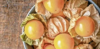 El INTA comprueba que el golden berry es antiinflamatorio