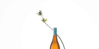 Catad’Or 2025: 20 Barrels Chardonnay 2024 de Viña Cono Sur es seleccionado Mejor Vino Blanco y obtiene Gran Oro