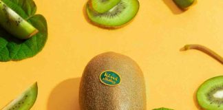 España Los inviernos más cálidos afectan la producción de kiwi español
