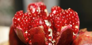 Perú | China publica normas fitosanitarias para granadas frescas peruanas