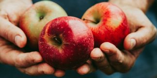 ProChile adjudica más de $1.966 millones para ejecutar proyectos en el marco del Concurso Silvoagropecuario 2026