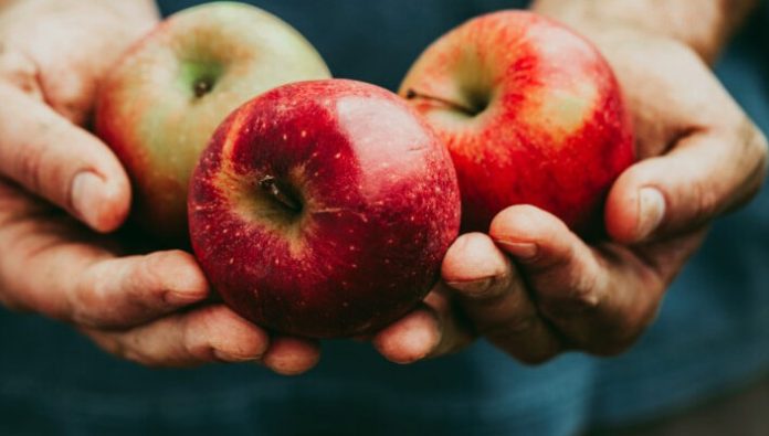 manzanas-de-exportación ProChile adjudica más de $1.966 millones para ejecutar proyectos en el marco del Concurso Silvoagropecuario 2026