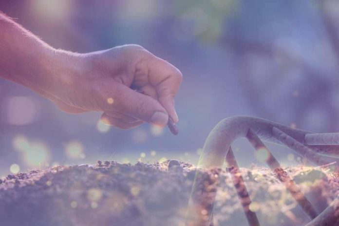 Colombia | Sector de semillas celebra avances en biotecnología, pero advierte sobre piratería y retrasos regulatorios