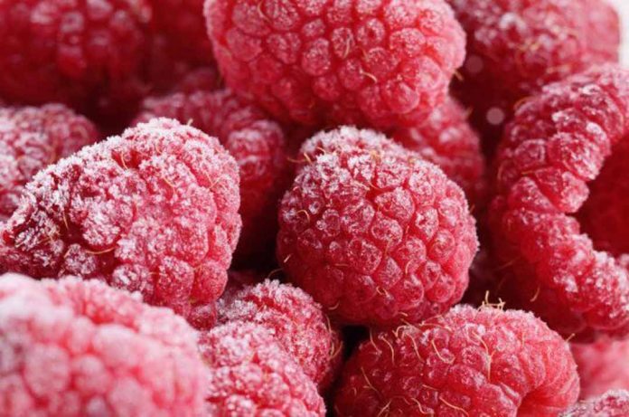 Moroccan frozen raspberry exports to France hit record high Moroccan frozen raspberry exports to France hit record high
