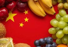 Actualización de la Aduana de China: Frutas permitidas para importación en 2025