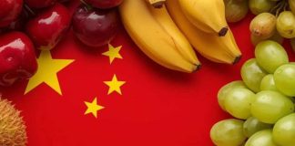 Actualización de la Aduana de China: Frutas permitidas para importación en 2025
