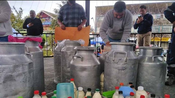 Agricultores de Chiloé acusan millonarias deudas por entrega de leche