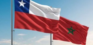 Análisis Marruecos, el nuevo puente estratégico para las exportaciones chilenas en África