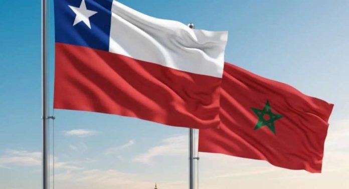Análisis Marruecos, el nuevo puente estratégico para las exportaciones chilenas en África Análisis Marruecos, el nuevo puente estratégico para las exportaciones chilenas en África