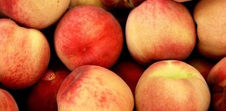 Argentina a un paso de exportar carozos a China: Avanzan las negociaciones fitosanitarias