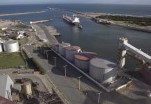 Argentina incorporó más de 160 mercados para exportar productos del agro durante 2025 Argentina incorporó más de 160 mercados para exportar productos del agro durante 2025