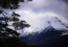 CONAF informa el cierre de áreas protegidas CONAF informa el cierre de áreas protegidas