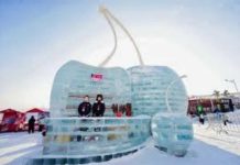 Cerezas chilenas refuerzan su presencia en el mercado chino de invierno