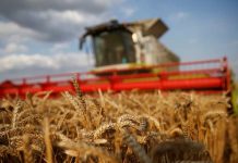 Chicago | Compras generalizadas impulsan los futuros de cereales en EEUU desde mínimos de varias semanas Chicago Compras generalizadas impulsan los futuros de cereales en EEUU desde mínimos de varias semanas