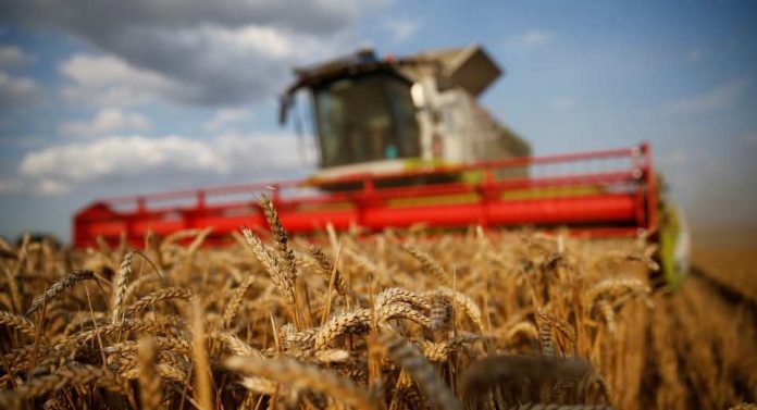 Chicago Compras generalizadas impulsan los futuros de cereales en EEUU desde mínimos de varias semanas Chicago Compras generalizadas impulsan los futuros de cereales en EEUU desde mínimos de varias semanas