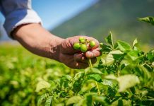 Chile, Colombia y España ejecutan proyecto de cooperación que fortalece el acceso a tierras de juventudes rurales