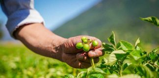 Chile, Colombia y España ejecutan proyecto de cooperación que fortalece el acceso a tierras de juventudes rurales