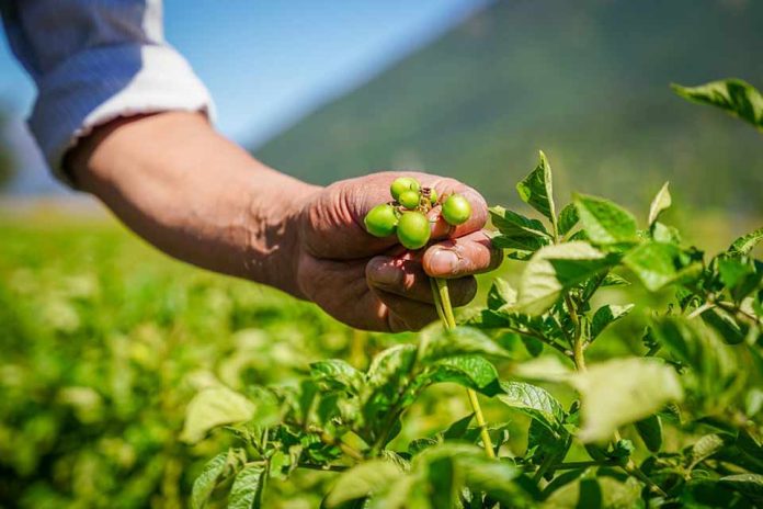 Chile, Colombia y España ejecutan proyecto de cooperación que fortalece el acceso a tierras de juventudes rurales Chile, Colombia y España ejecutan proyecto de cooperación que fortalece el acceso a tierras de juventudes rurales