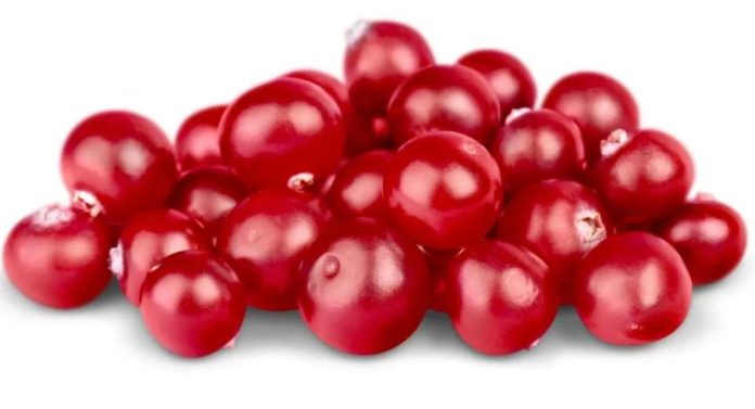 China eleva aranceles para el cranberry Importaciones de fruta fresca y seca subirán hasta un 30% en 2026. Chile podría estar a salvo