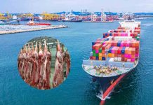 Impuestos aplicados por China a las importaciones de carne bovina reconfiguran los mercados internacionales Impuestos aplicados por China a las importaciones de carne bovina reconfiguran los mercados internacionales