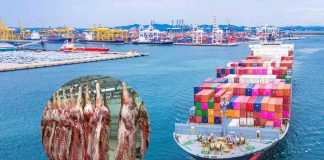 Impuestos aplicados por China a las importaciones de carne bovina reconfiguran los mercados internacionales