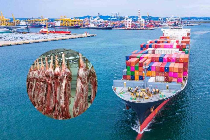 China importaciones de carne bovina Impuestos aplicados por China a las importaciones de carne bovina reconfiguran los mercados internacionales