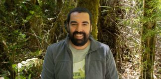 Científico chileno lidera estudio internacional que dilucida cómo una enfermedad está extinguiendo a la ranita de Darwin.