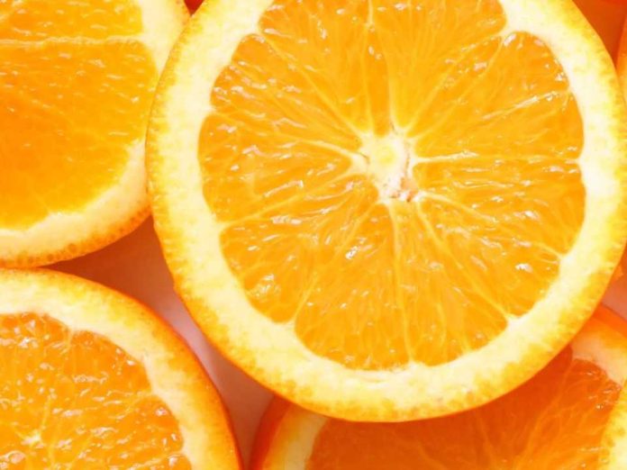 Cítricos egipcios ganan terreno Comisión Europea reduce la tasa de inspección al 10% Cítricos egipcios ganan terreno: Comisión Europea reduce la tasa de inspección al 10%