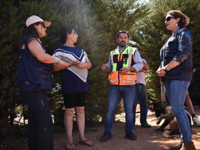 Comenzó aplicación de ficha para catastro de afectación silvoagropecuaria ante incendios forestales en Biobío