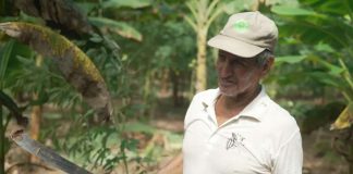 Cómo un proyecto en Perú apoya el cacao sostenible y sirve a los intereses suizos