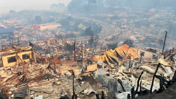 Gobierno confirma 16 muertos por incendios forestales en el Bío Bío y Ñuble Gobierno confirma 16 muertos por incendios forestales en el Bío Bío y Ñuble