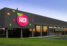 Copefrut y su estrategia para seguir creciendo dentro de los próximos 70 años Copefrut y su estrategia para seguir creciendo dentro de los próximos 70 años